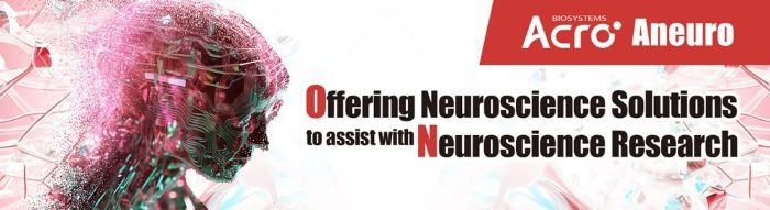 The current landscape of Alzheimer