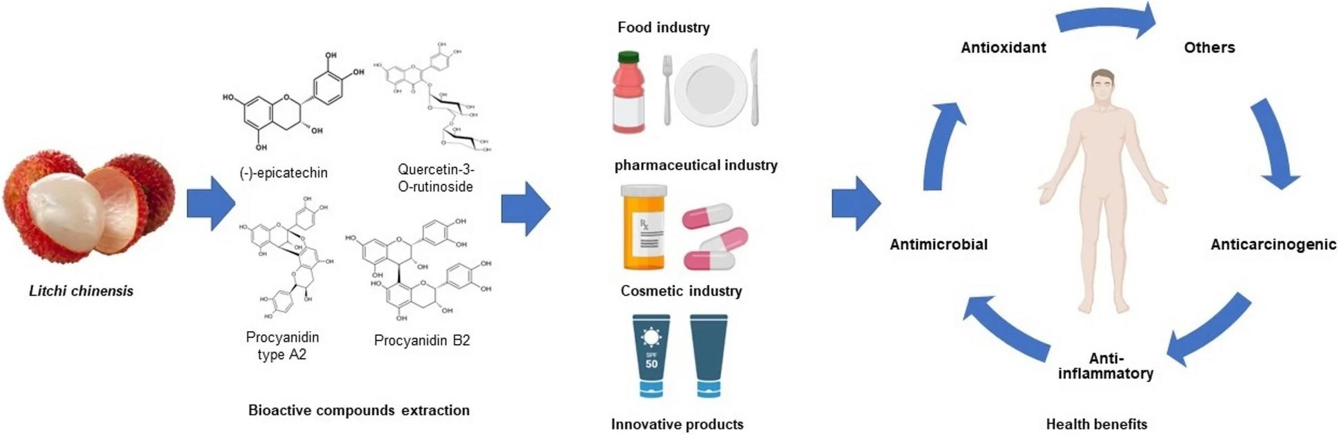 Bioactive compounds present in L. chinensis for the development of innovative products and their benefits to health1