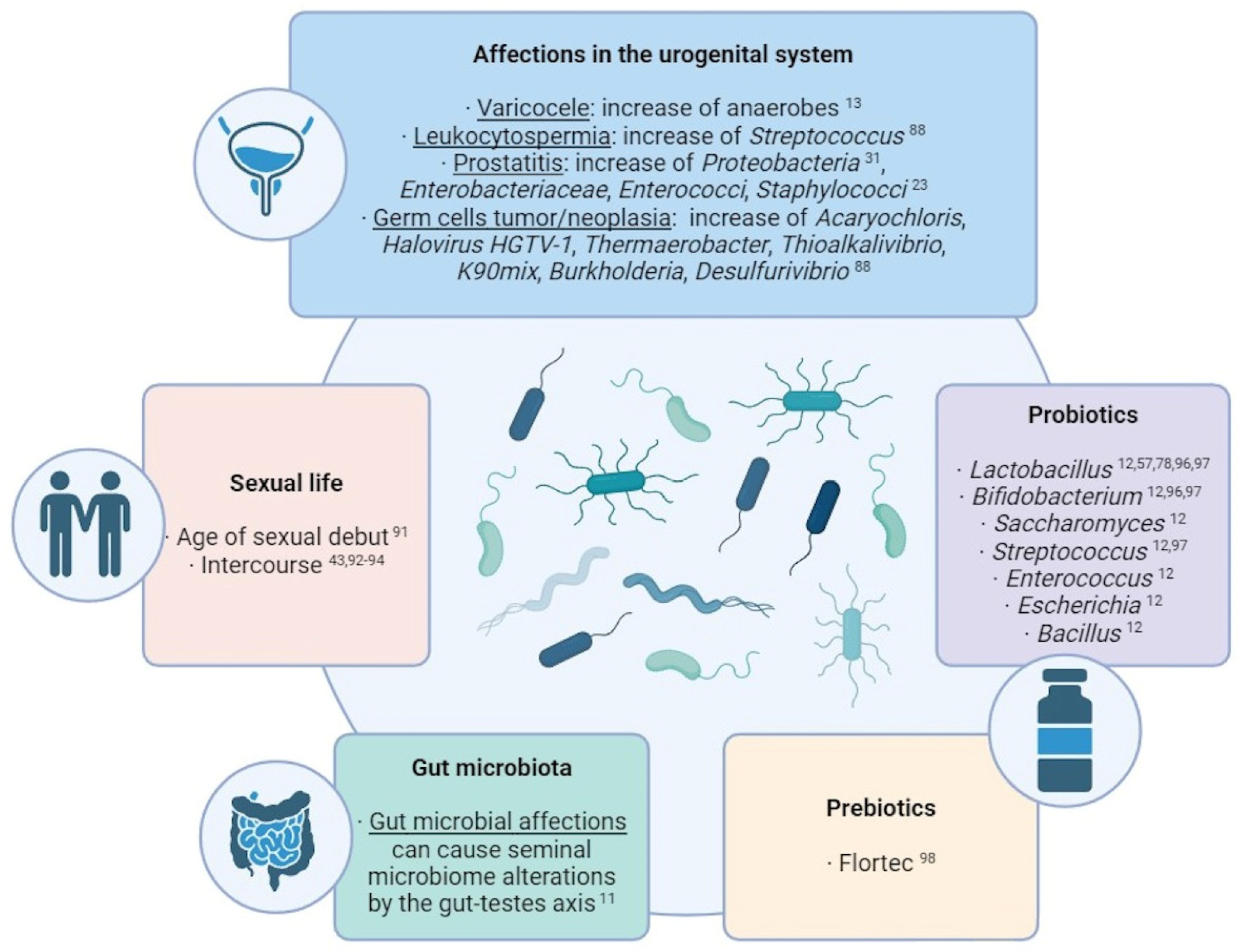 Summary of the main external factors with an influence over the seminal microbiome composition.1