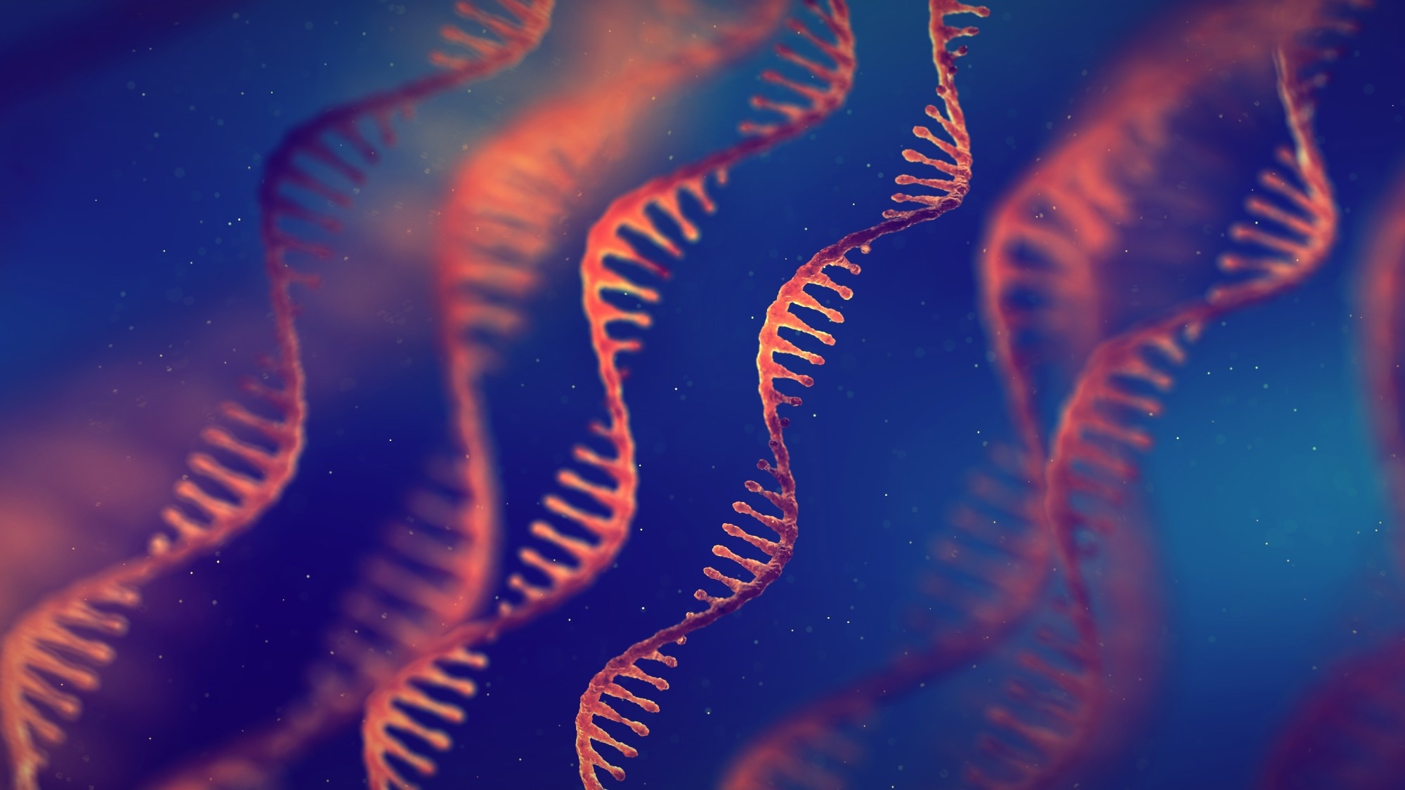 Gene expression maps explain why diseases often occur together