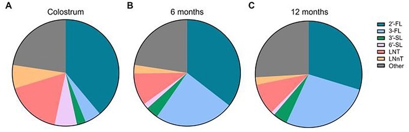 Relative abundance of the six core HMOs in breast milk between 0 and 12 months of age. Ratios of the six individual HMOs were calculated in relation to total HMO concentration. Ratios were calculated by taking the quotient of average individual HMO levels divided by average total HMO level at the respective timepoint and multiplying by 100%. “Other” was calculated as 100% - [Sum % of 2′-FL, 3-FL,3′-SL, 6′-SL, LNT, LNnT]. (A) Colostrum, (B) 6 months, (C) 12 months.