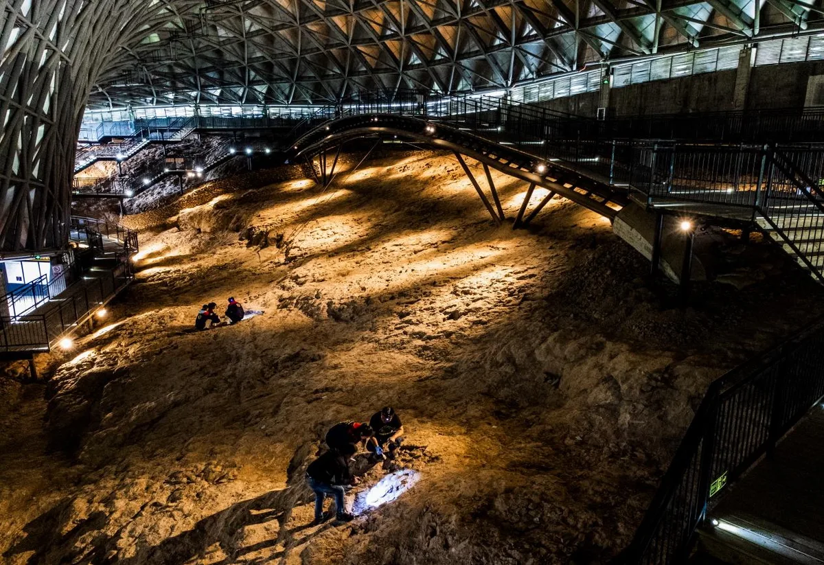 Interior of Qinglongshan Dinosaur Egg Fossil Museum