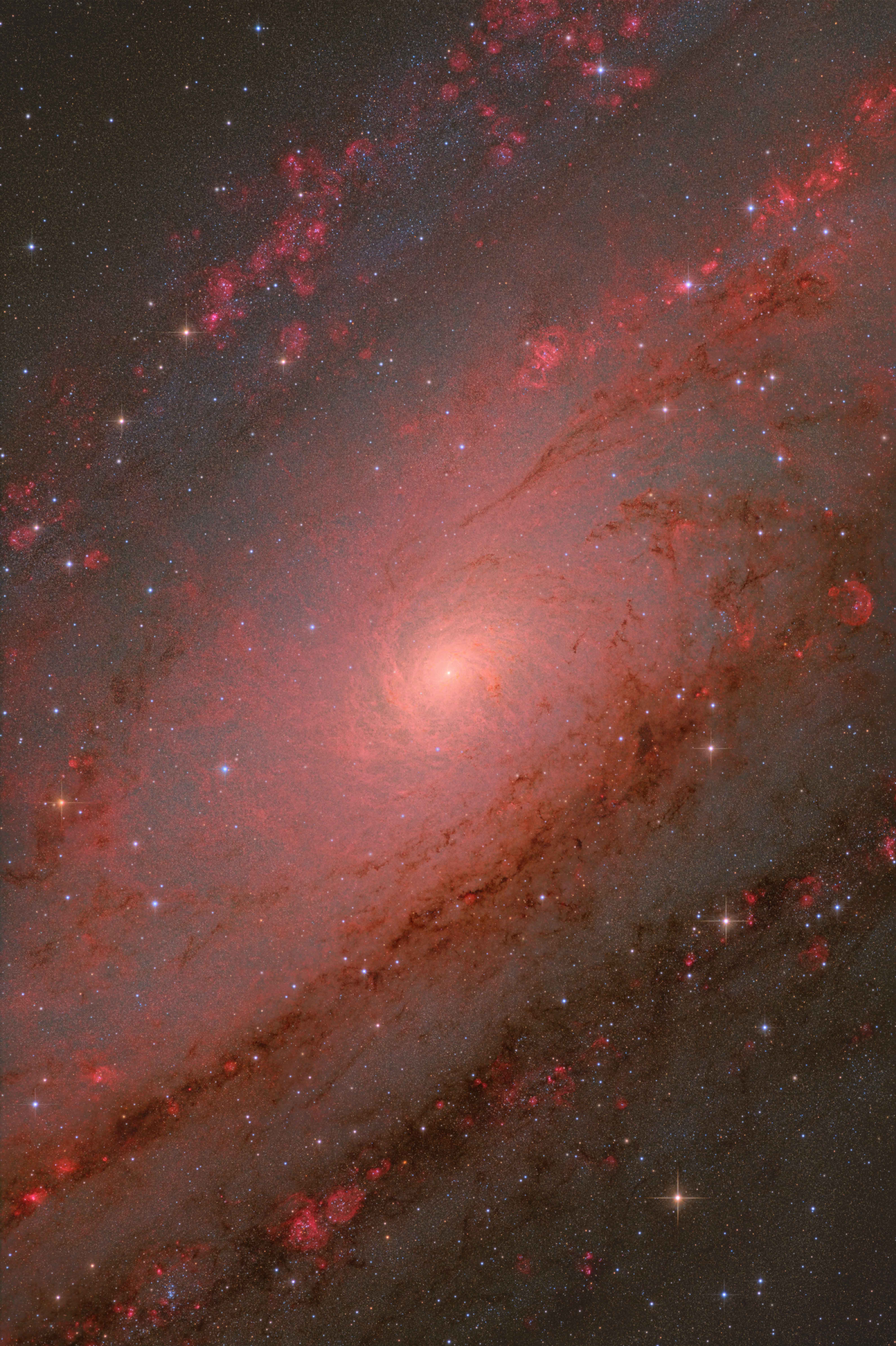 A detailed image of the Andromeda spiral galaxy hanging against the blackness of space Wispy arms can be seen surrounding a bright central core.
