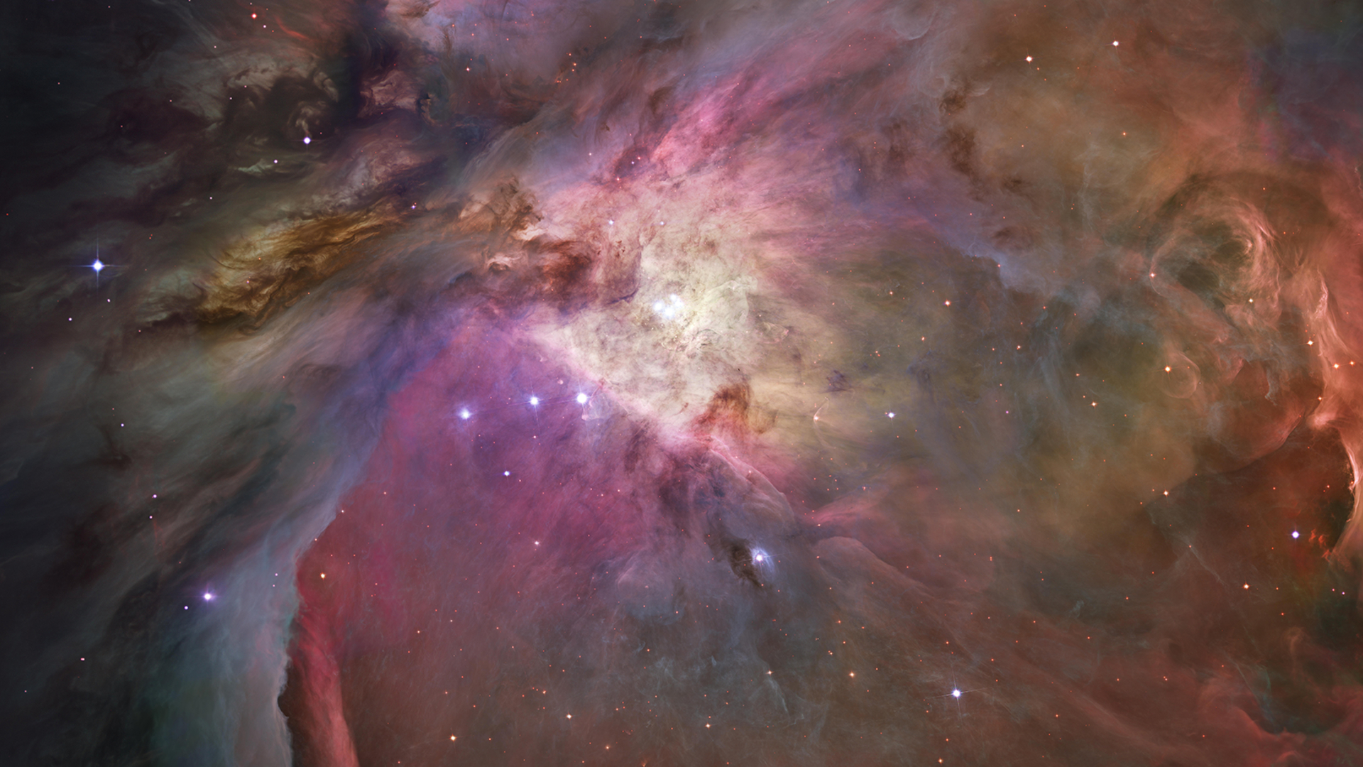 A swirling nebula scene is shown with multicolored interstellar clouds illuminated with the light from nearby stars, many of which are visible peppering the image.