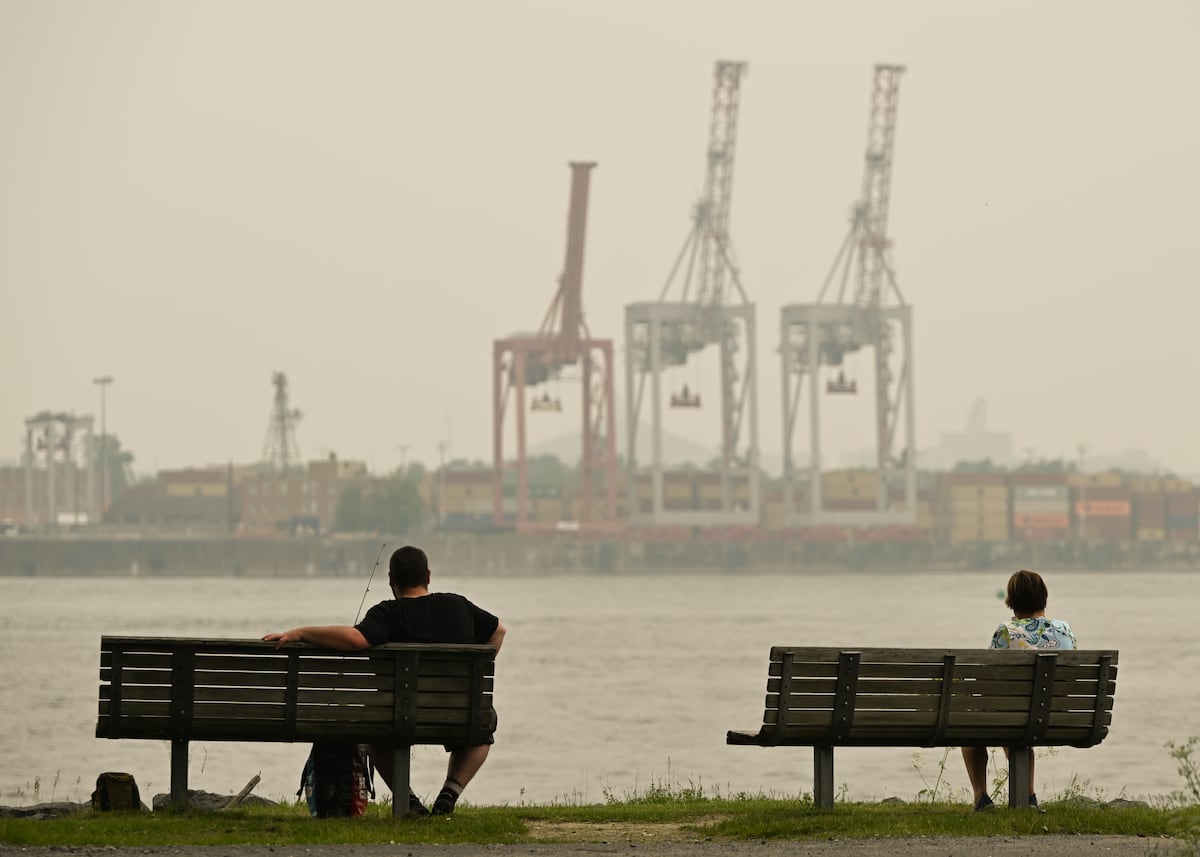 Study reveals how air pollution can trigger harmful changes in the brain that lead to neurodegeneration | Science