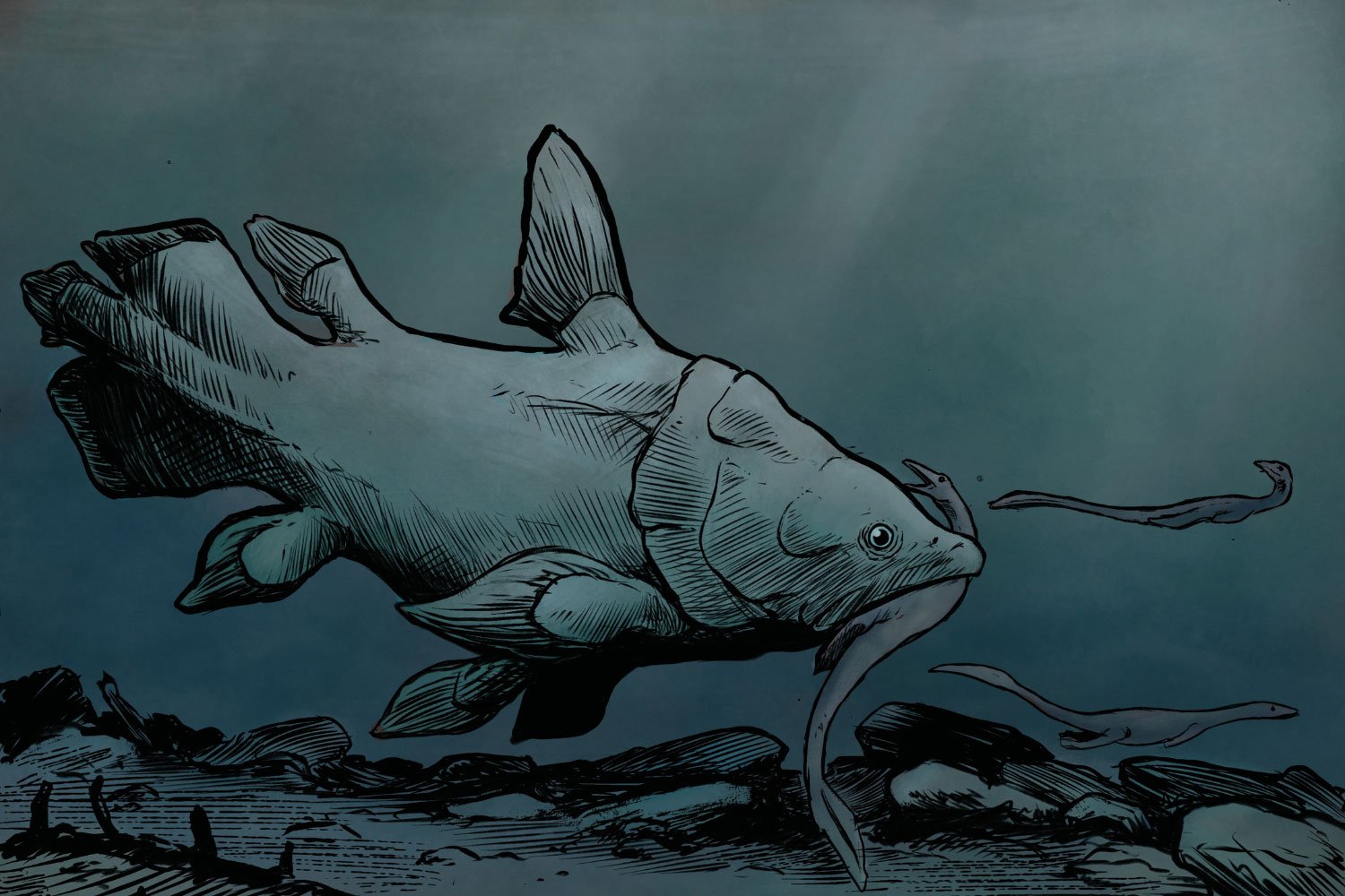 New Species of “Living Fossil” Fish Found Hiding in Plain Sight After 150 Years