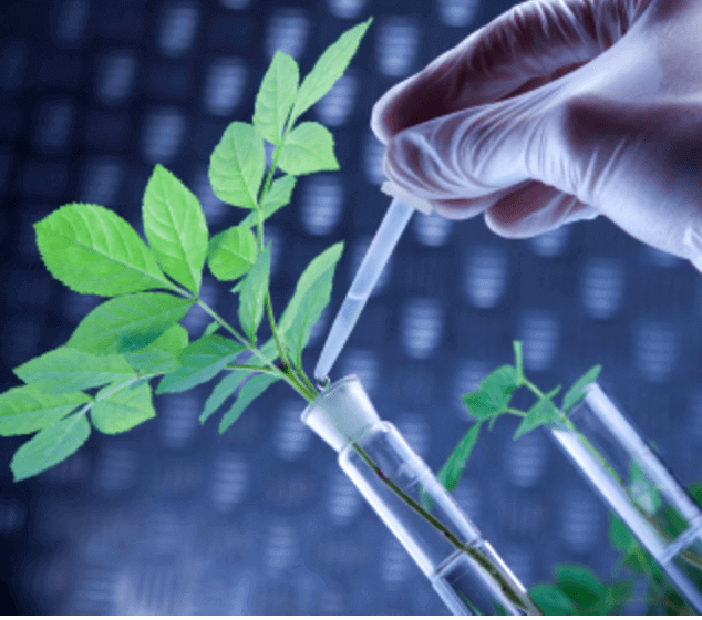 Organic farming will never be truly sustainable until it embraces gene editing