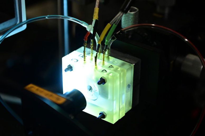 Specially Designed Chamber That Helps Imitate the Living Environment of the Cochlea