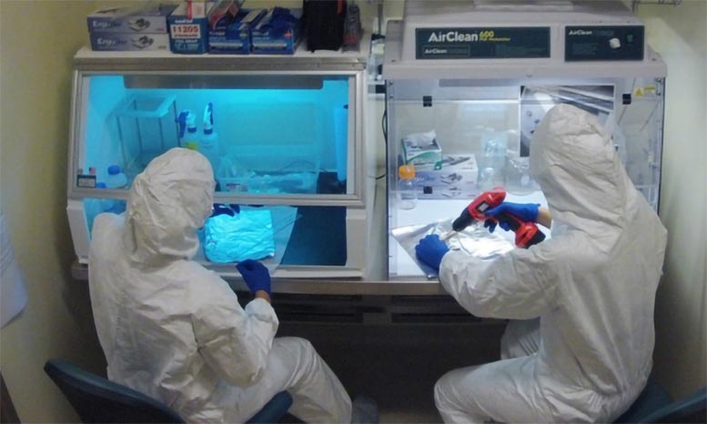The Ancient DNA Lab at Florida Atlantic University