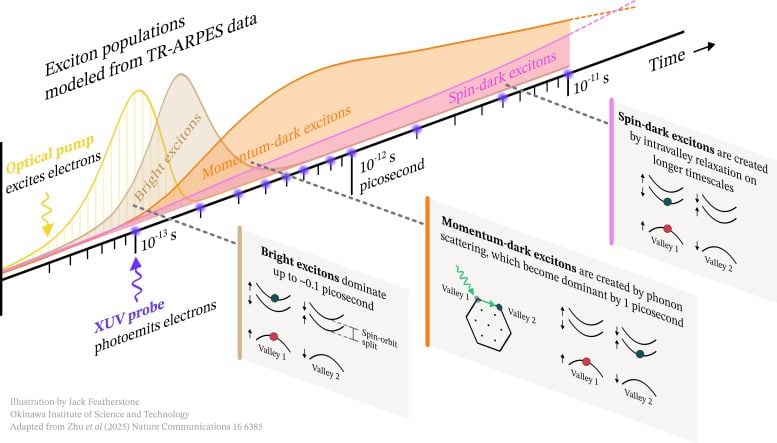 The Evolution of Dark Excitons Infographic