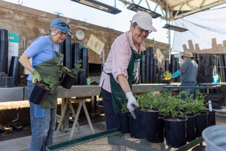 Volunteers at UC Davis Arboretum