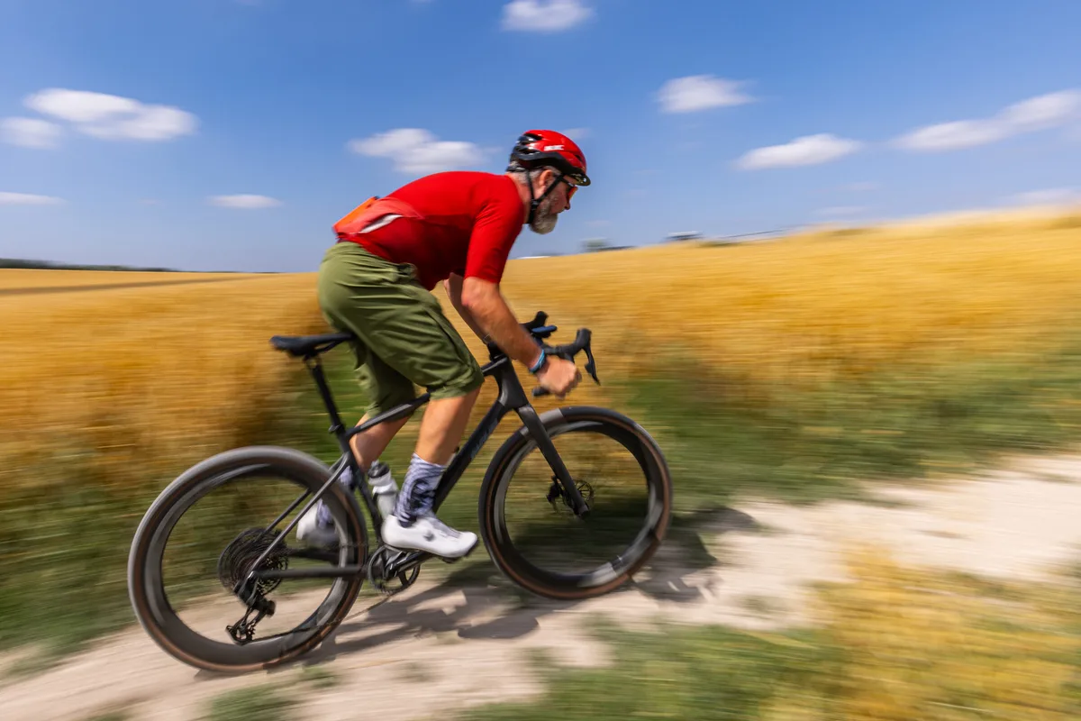 Parlee Taos