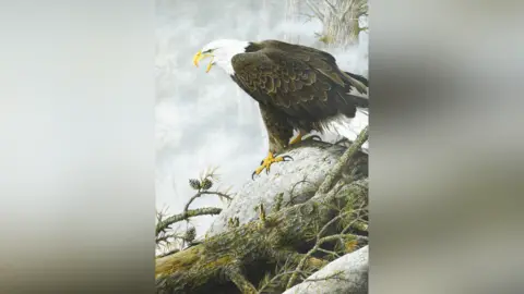 Cheffins A painting of a bald eagle. It has a yellow beak, white head and its body is made up of mainly brown feathers with some white feathers toward its tail.