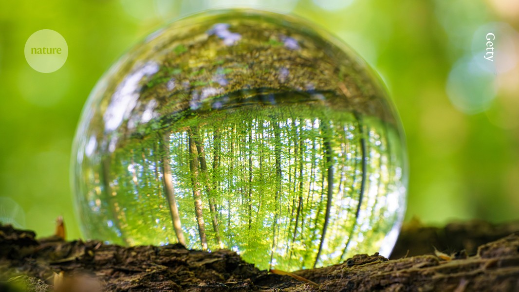 should research on mirror-image molecular biology be stopped?