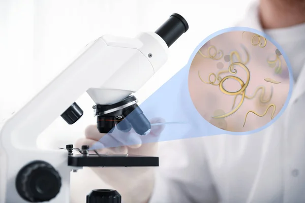 Helminths and Cancer