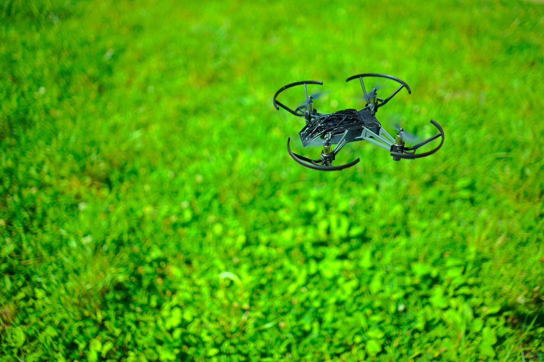 A drone programmed with image recognition algorithms scans a field of clovers.