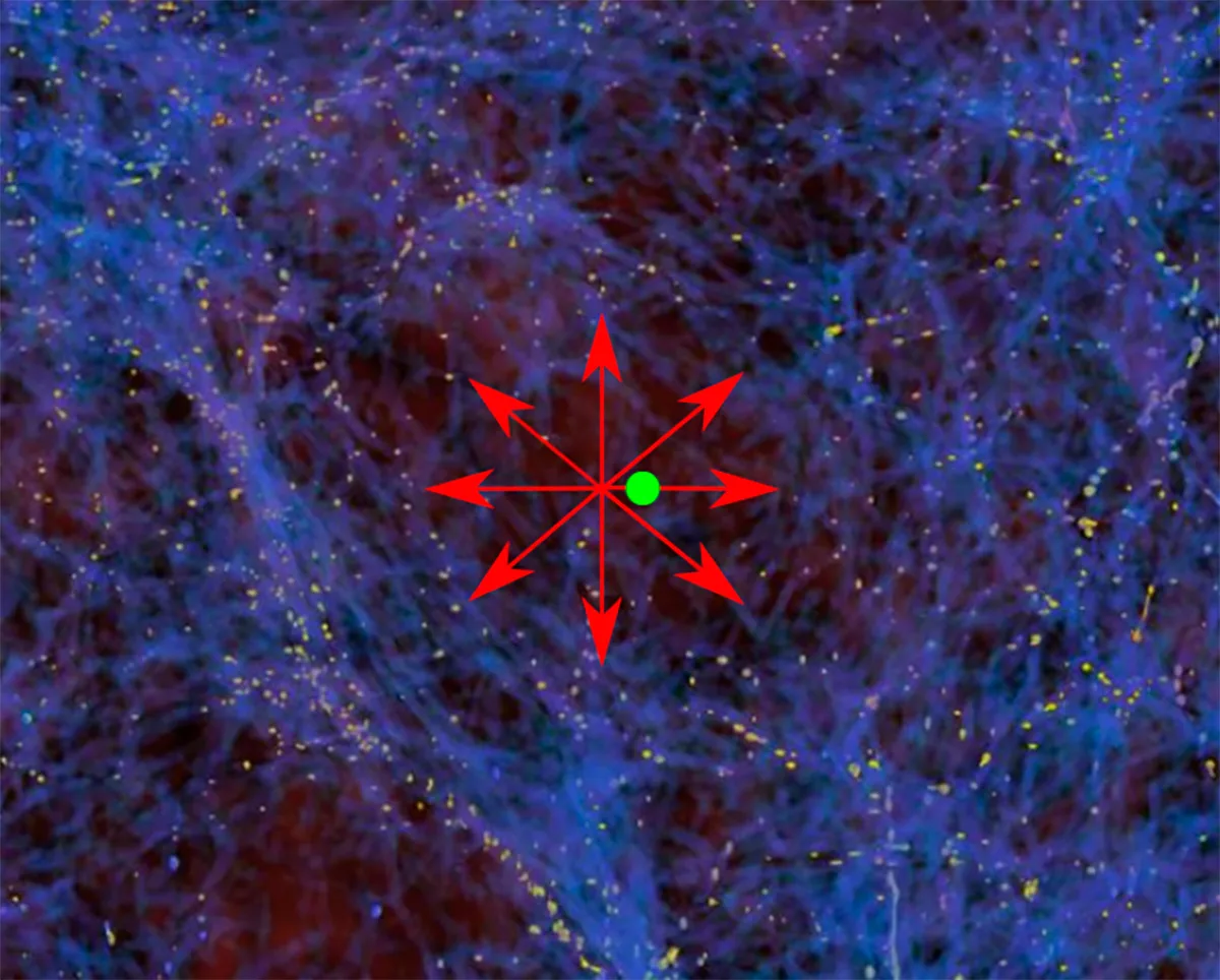 We (the green dot) may be adrift in a giant cosmic void, with matter flowing away into denser regions beyond. Credit: Moritz Haslbauer and Zarija Lukic