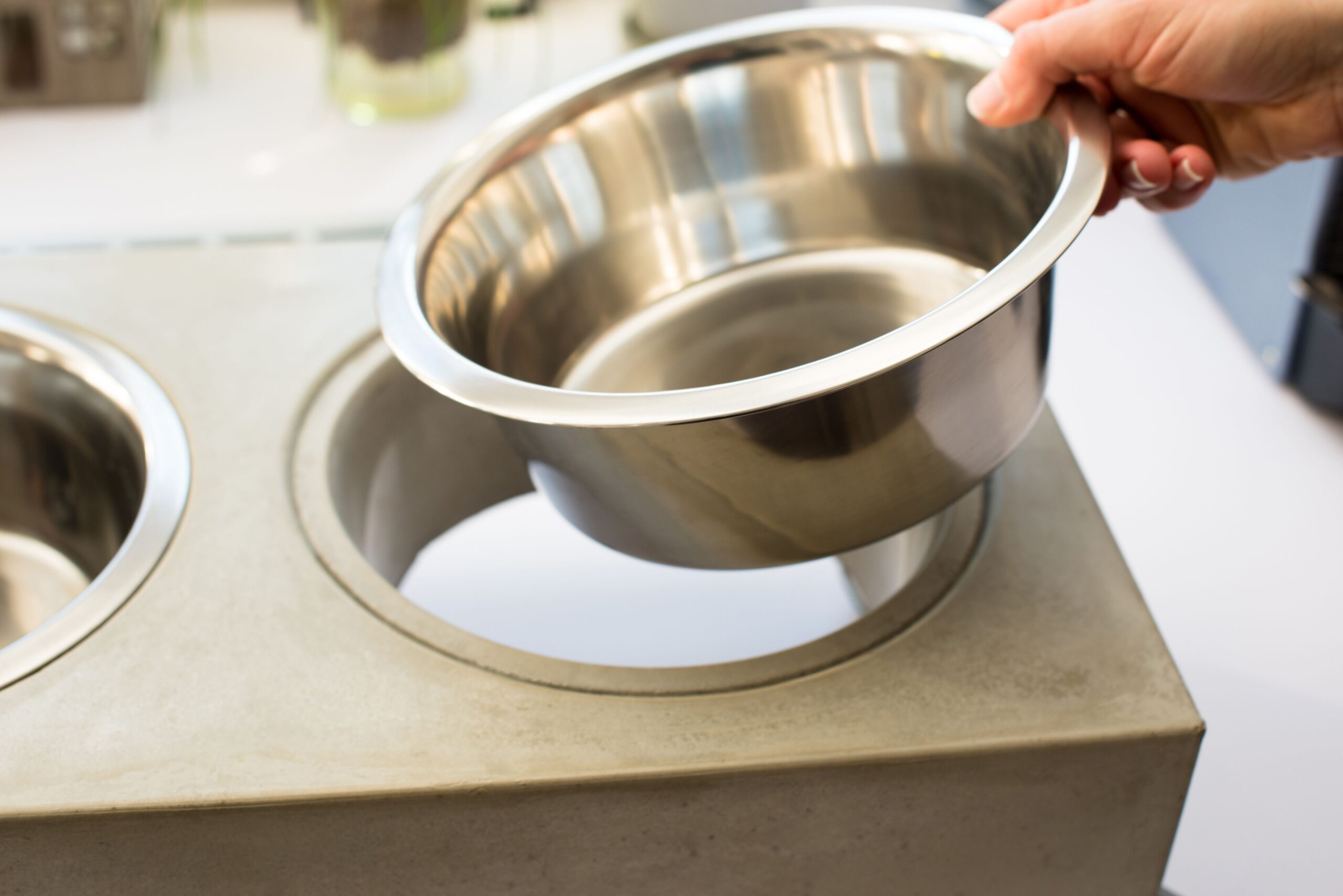 Raw cat food tests positive for H5N1