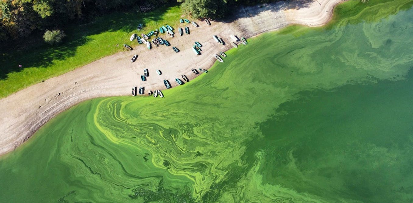 How Luxembourg detects microbes in its water supply before they pose a health risk