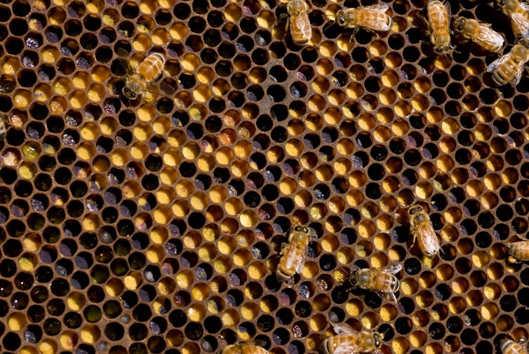 A brown and yellow beehive.