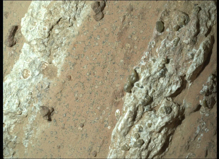 Dusty rocks on the surface of Mars, speckled with dark spots.