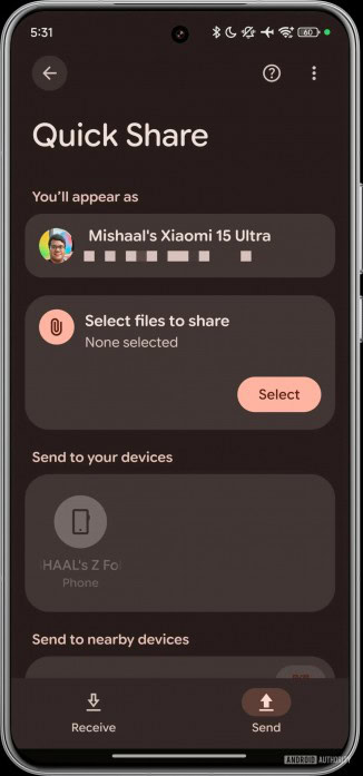 Quick Share feature