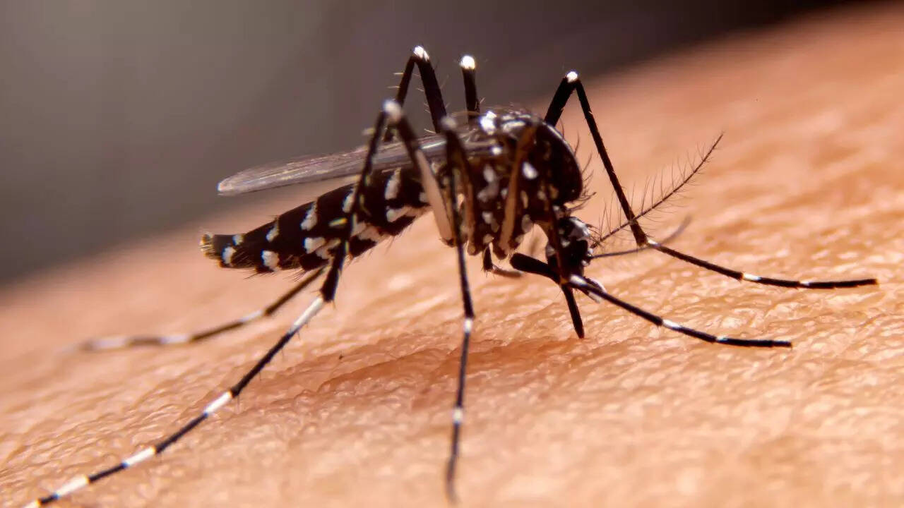 Health risks caused by deadly animals living around us