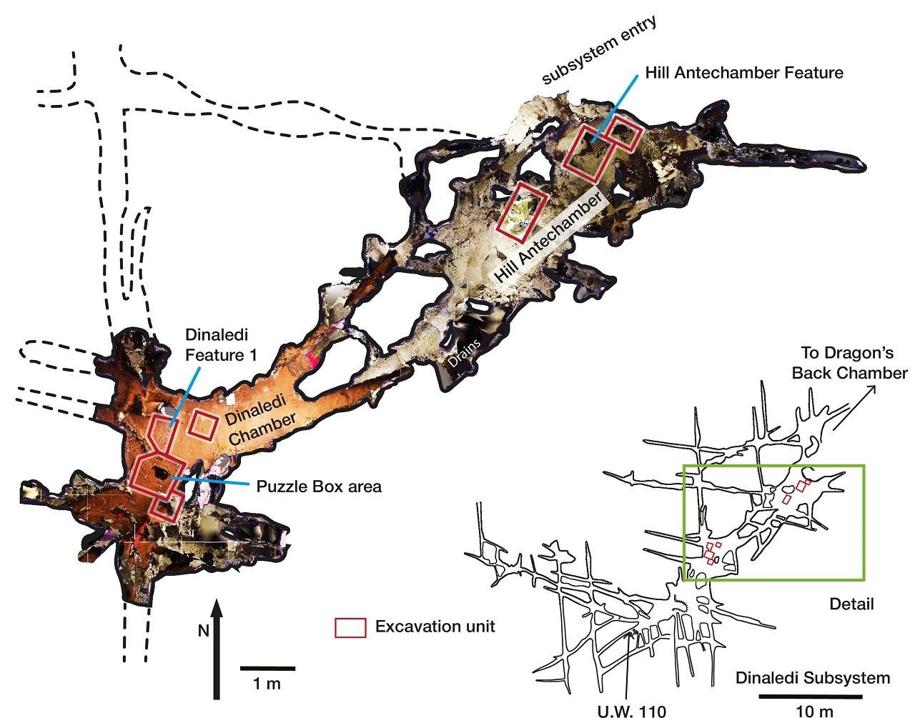 Evidence shows Homo naledi deliberately buried their dead