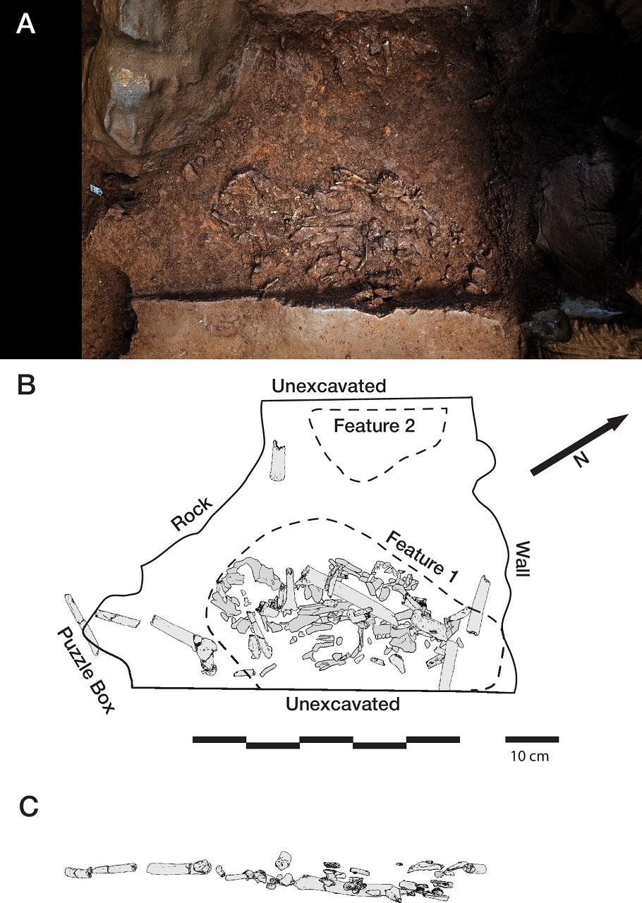 Evidence shows Homo naledi deliberately buried their dead