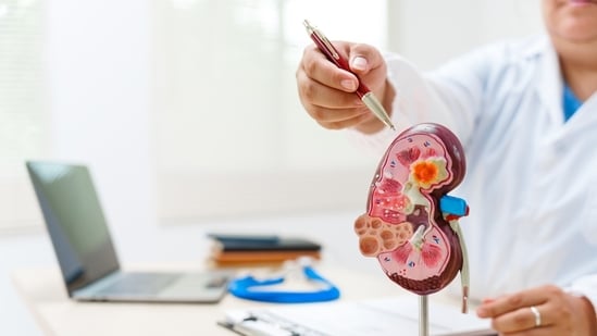 Know the early warning signs of kidney diseases.(Shutterstock)