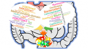 graphic with words