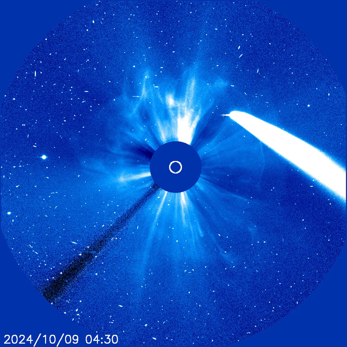Image of Comet C/2023 A3 Tsuchinshan-ATLAS created using images captured by NASA's SOHO spacecraft, 9 October 2024. Credit: NASA/SOHO