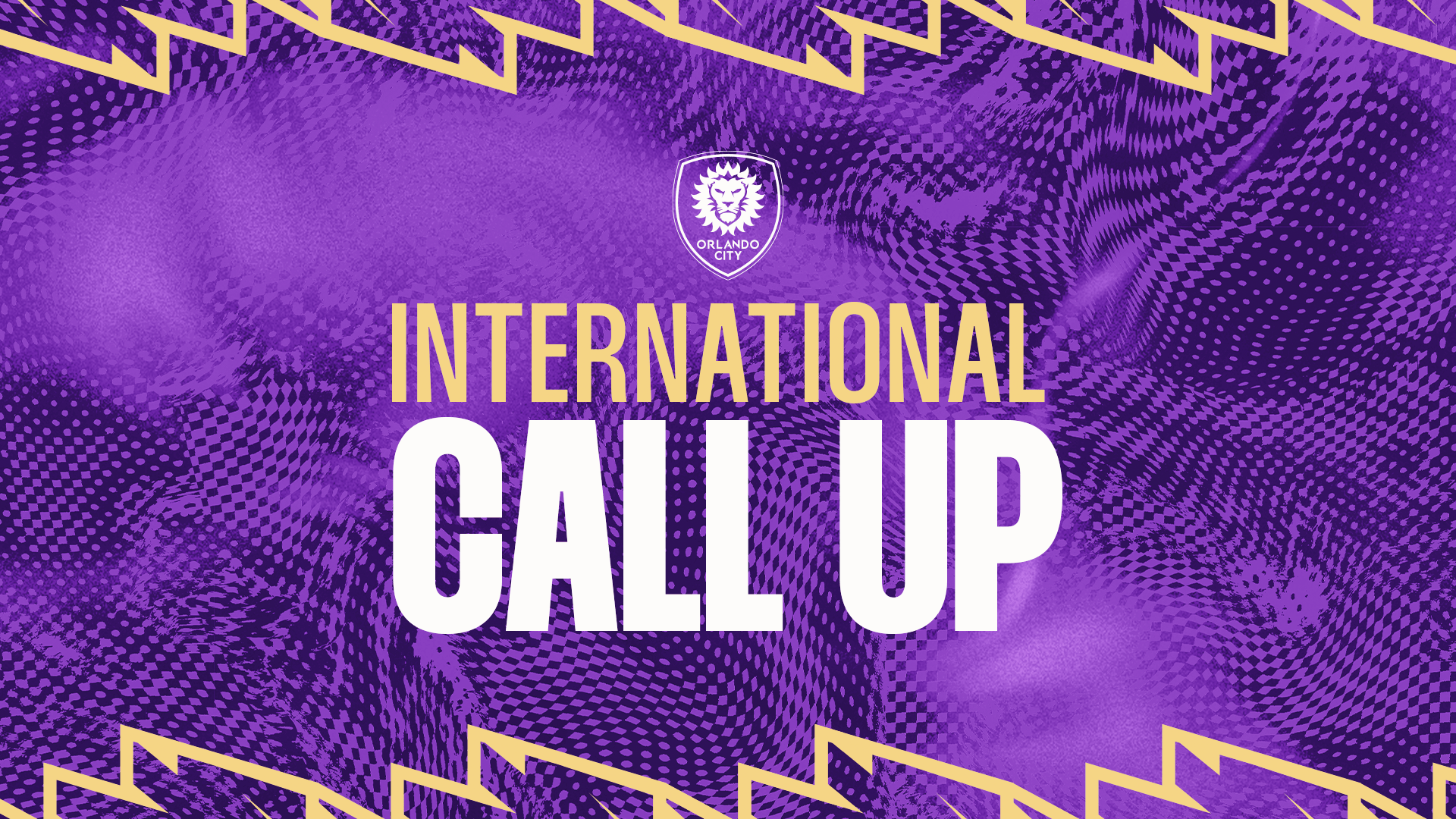 International round-up: Eight Lions players set out for September international duty