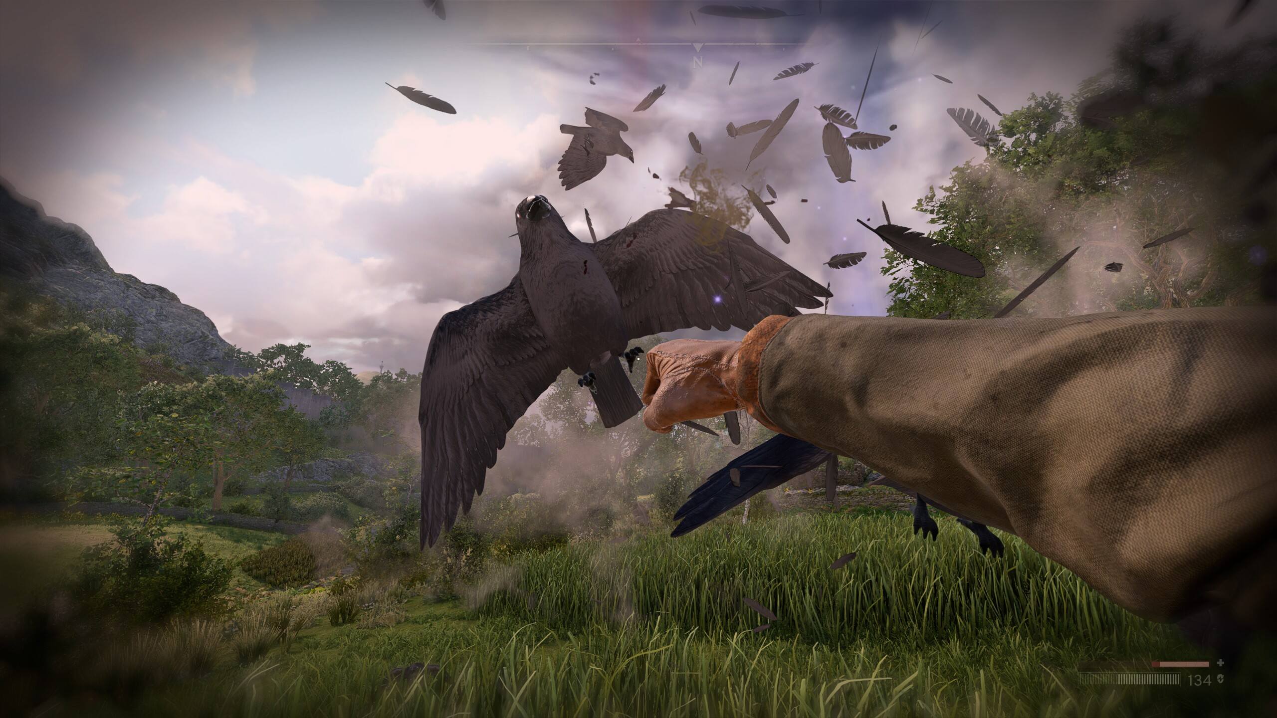A bird getting punched in Atomfall
