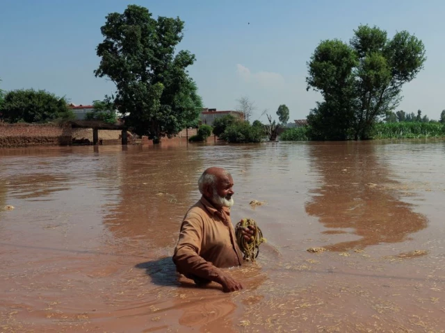 Sutlej roars past 1988 levels, leaving south Punjab knee-deep in trouble