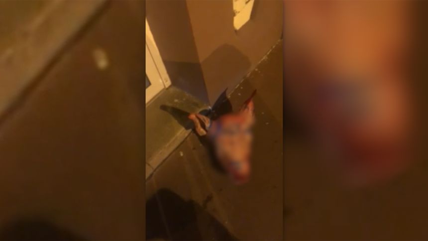 In this deliberately blurred photo, a pig's head which was dumped outside a mosque in Paris on Tuesday can be seen on the floor.