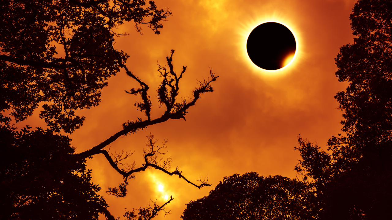 Solar Eclipse 2025