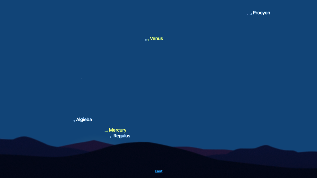 A simulation of the night sky showing the position of Mercury against a dark blue sky, hugging close to a silhouetted eastern horizon with the bright star Regulus labelled close to its lower right.
