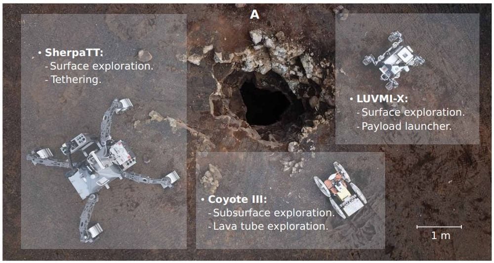 This image shows the three members of the robotic team tested on Lanzarote in the Canary Islands. Image Credit: Dominguez et al. 2025. SciRob