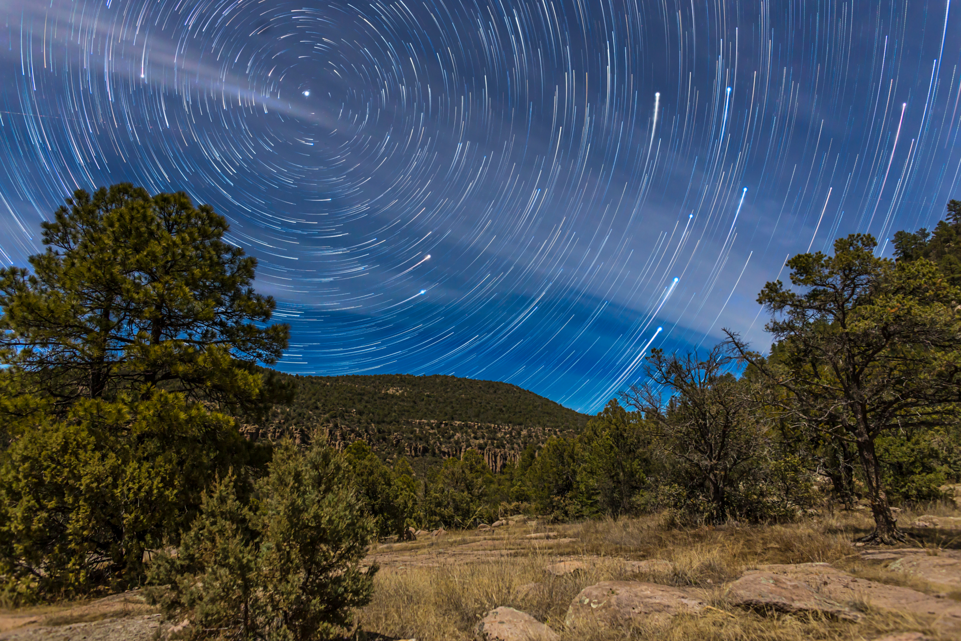Star trails can be seen circling the north star Polaris in the night sky above a countryside scene with trees in the foreground.