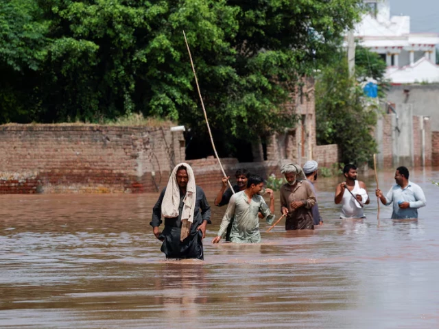 At least 13 dead, over 4m affected as Punjab reels from severe floods