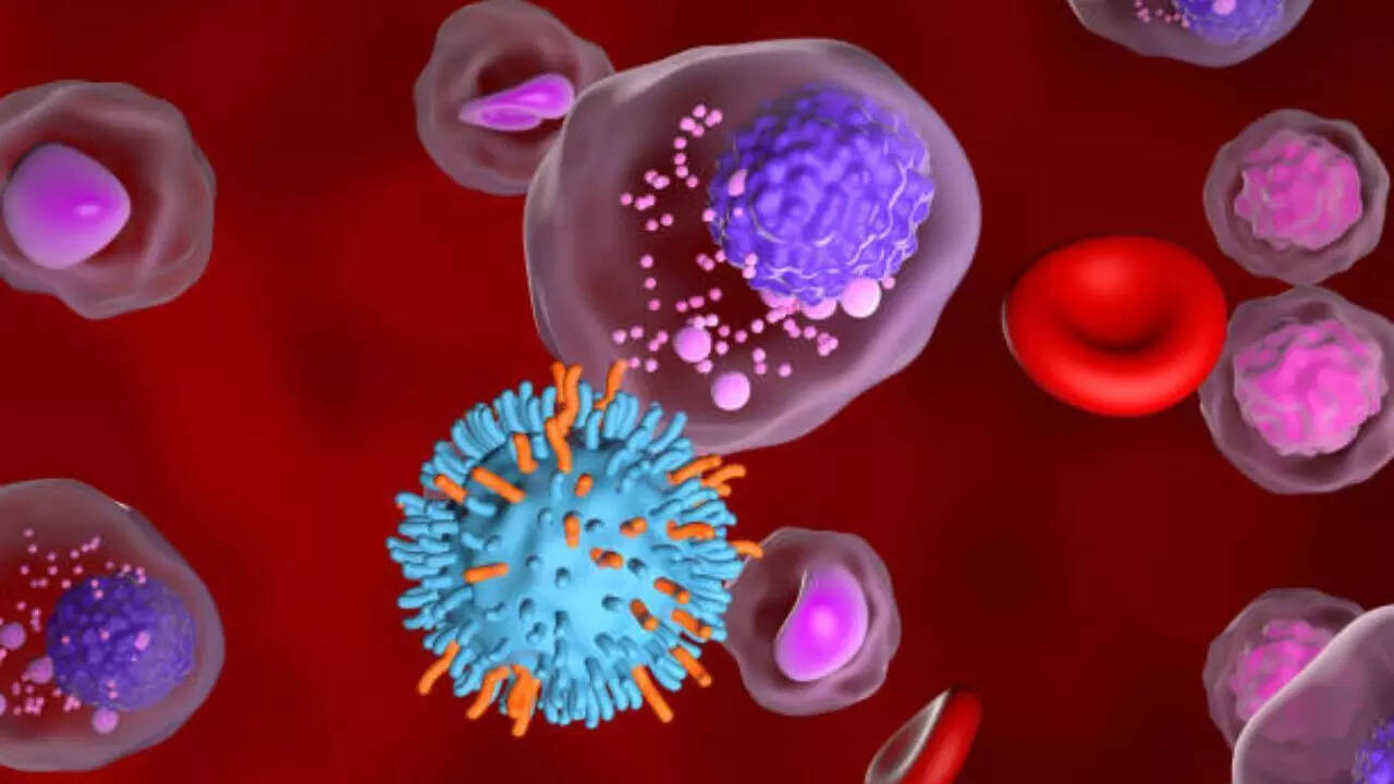 What is Myeloma?