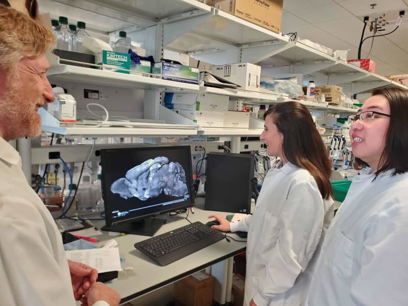 New gene therapy fixes brain disorders related to autism and epilepsy