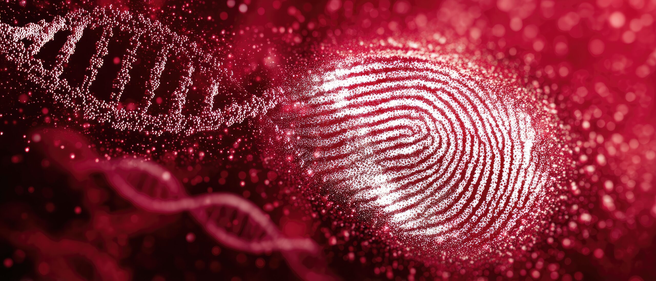 Forensic Perspectives on Gas Chromatography