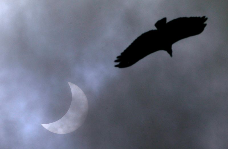 Study shows how solar eclipse made some birds sing like a new day dawned