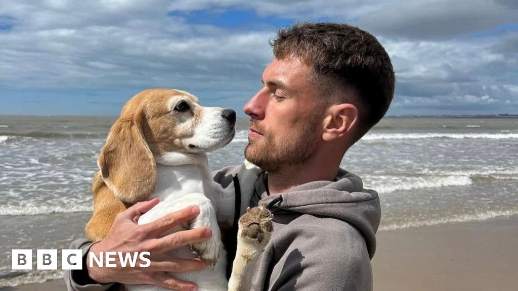 Wales player Aaron Ramsey ups reward for missing dog to $20k