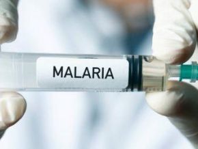 Malaria Resurgence Could Cut $83 Billion From Sub-Saharan Africa’s GDP by 2030
