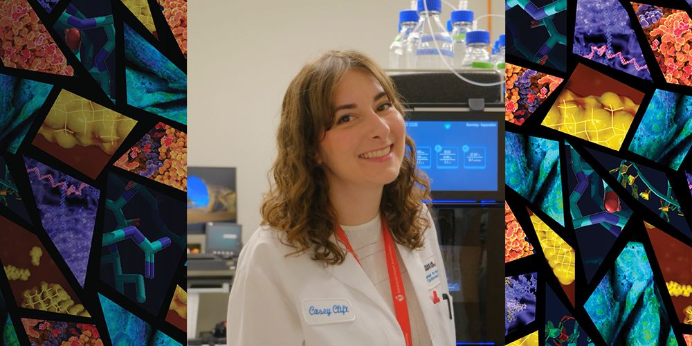 Understanding the roles of extracellular matrix and vesicles in valvular disease