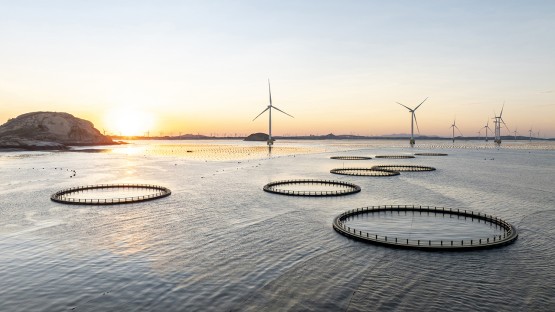 Cornell software advances design of offshore structures