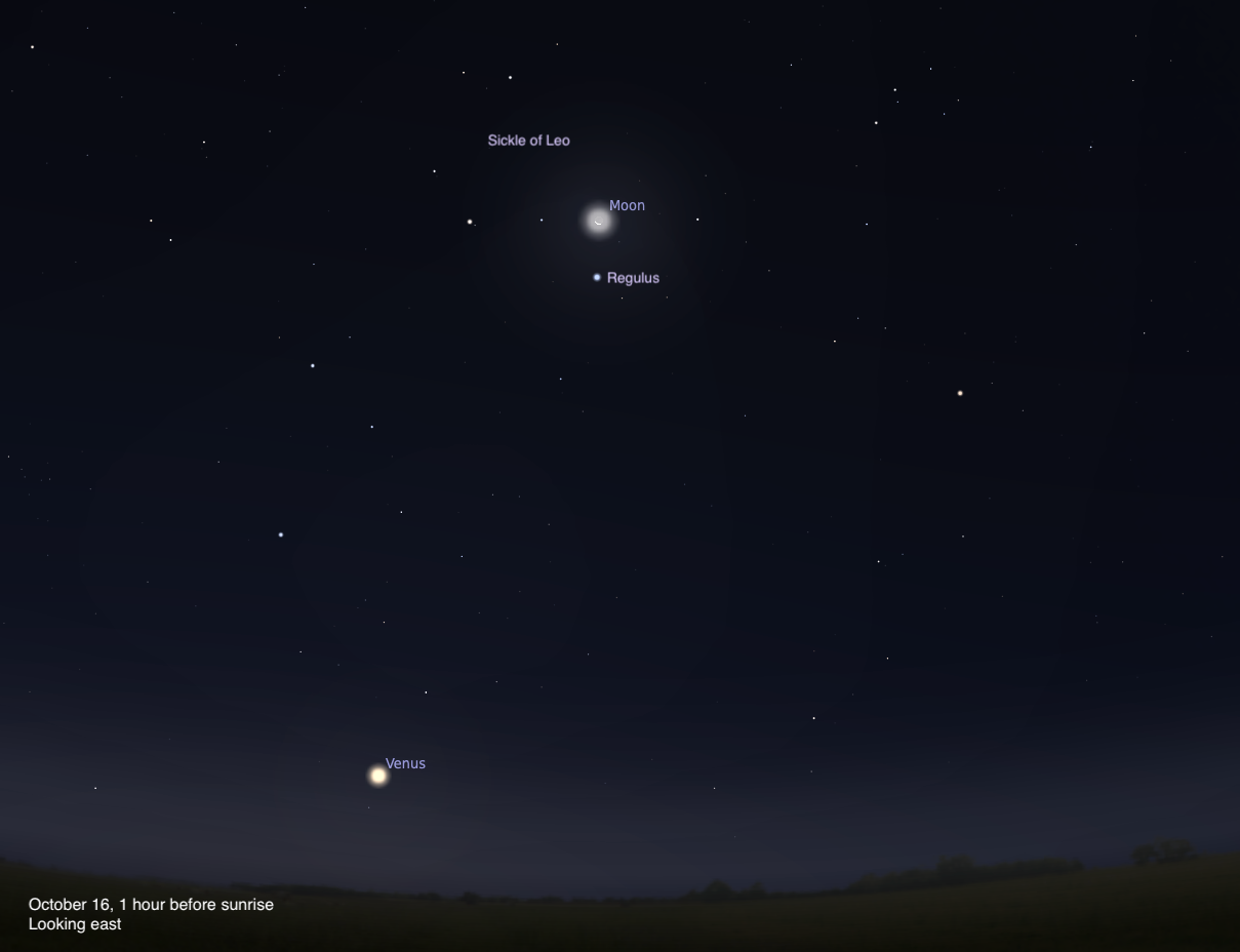 The Moon rises with Regulus